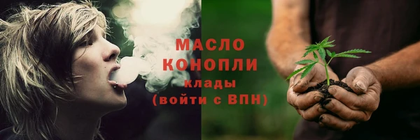 шишки Верхний Тагил