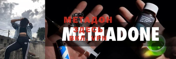 индика Козельск