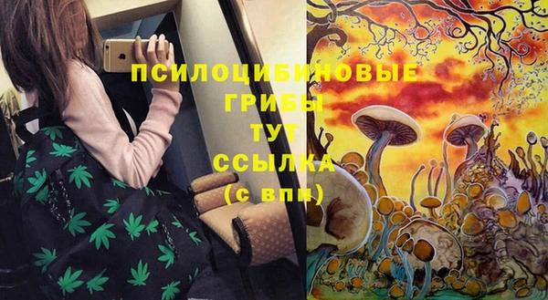 шишки Верхний Тагил