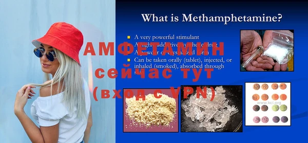шишки Верхний Тагил
