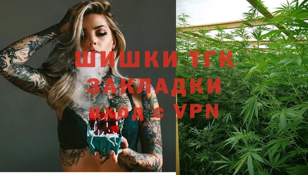 шишки Верхний Тагил