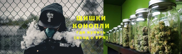 шишки Верхний Тагил