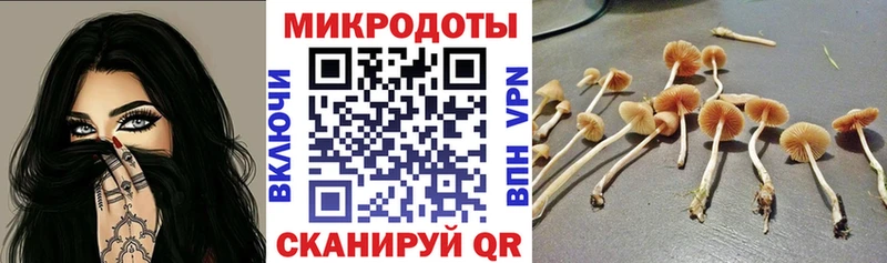 мега сайт  Мончегорск  Галлюциногенные грибы Cubensis  наркотики 